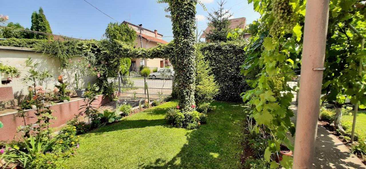 Ferienwohnung Exclusive Paraćin Exterior foto