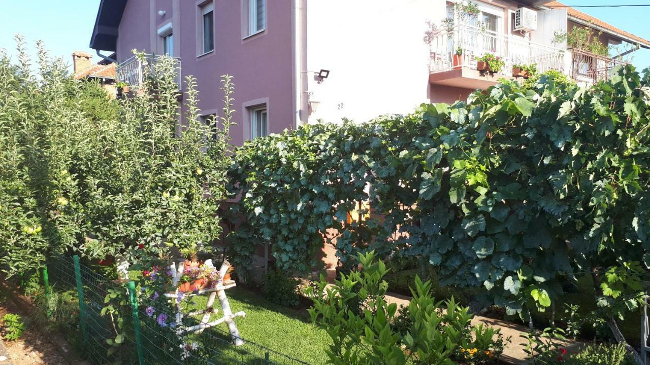Ferienwohnung Exclusive Paraćin Exterior foto